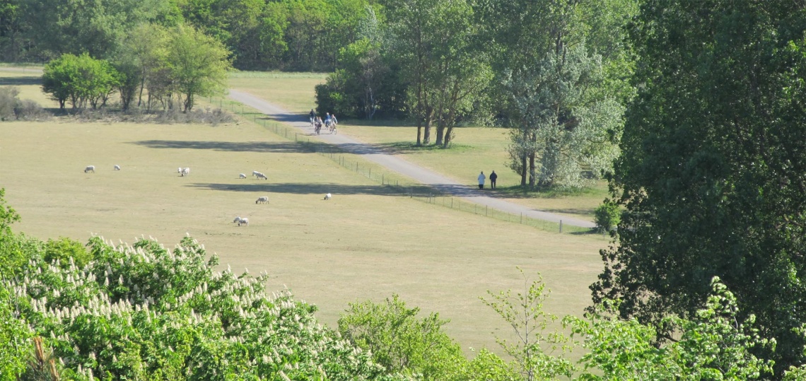 Heemskerkse Duinen