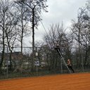Overhangende tak afzagen
