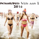 Nieuwjaarsduik Wijk aan Zee 2016