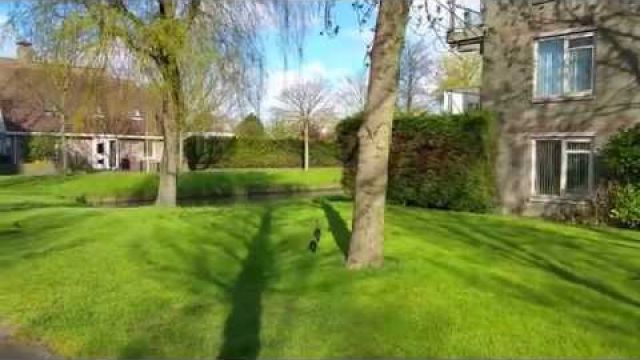 moedermetkroost