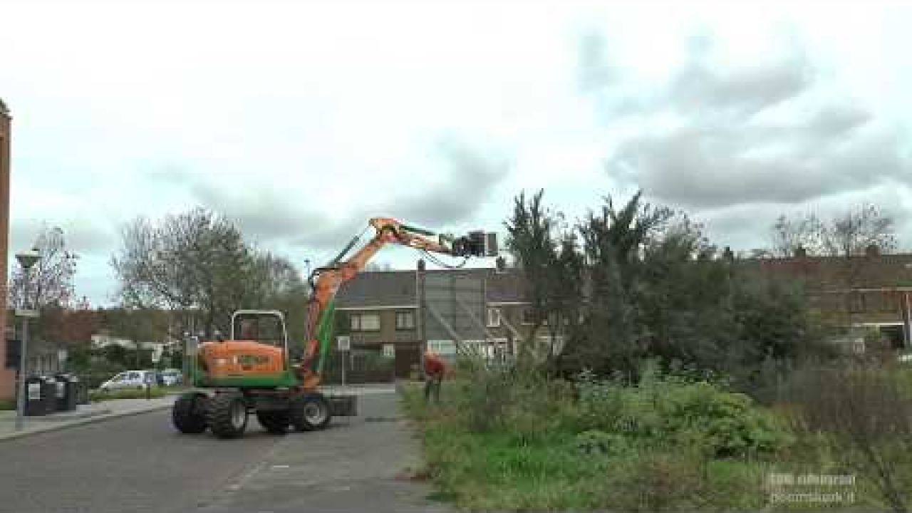 Bomen bachstraat gekapt voor bouwcomplex. 1/1