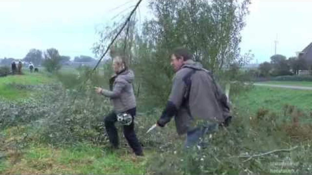 Behoud van natuur langs communicatieweg.  1/1