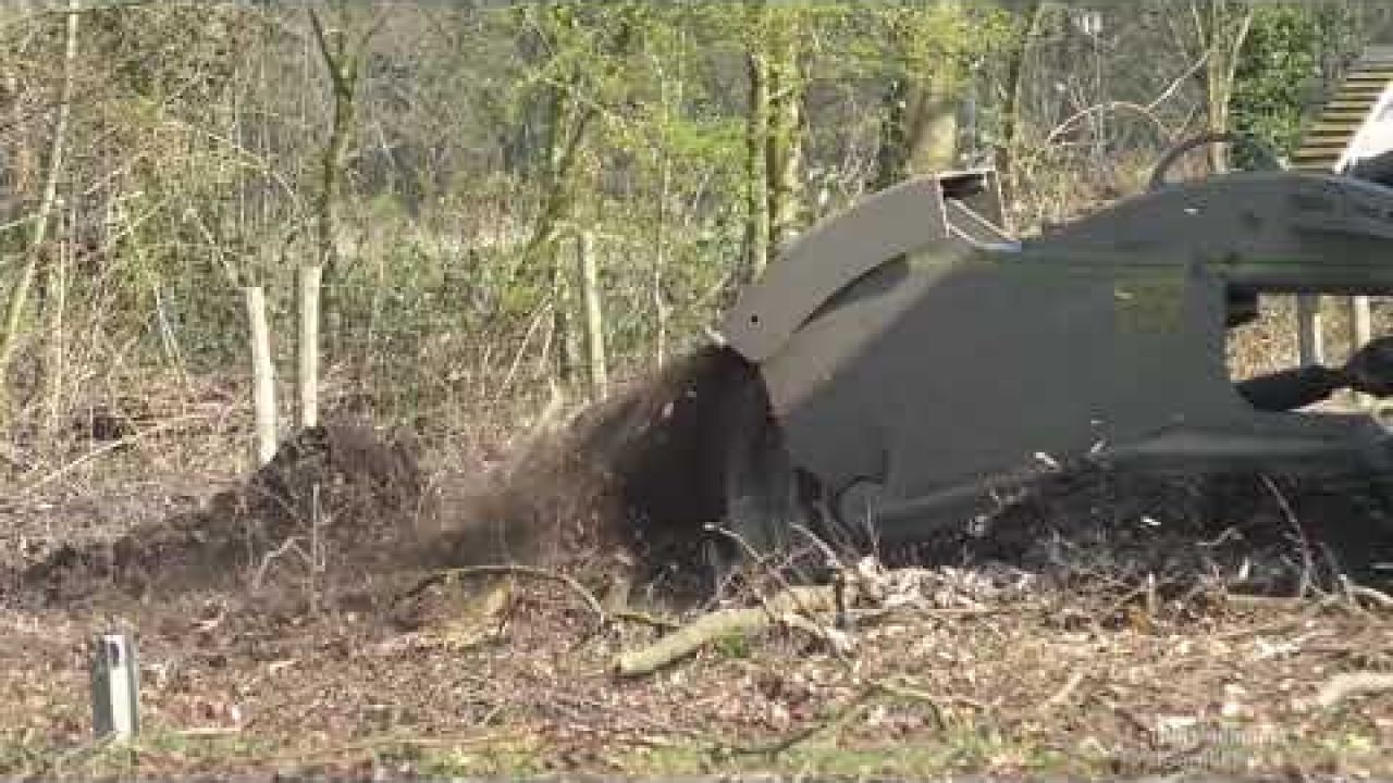 Bomenkap van oprijlaan Kasteel Marquette. 2/2 