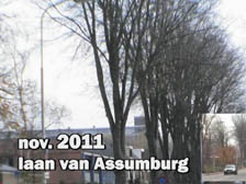  Laan van Assumburg. 1/1